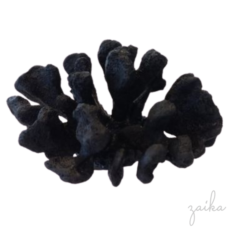 CORAL PRETO