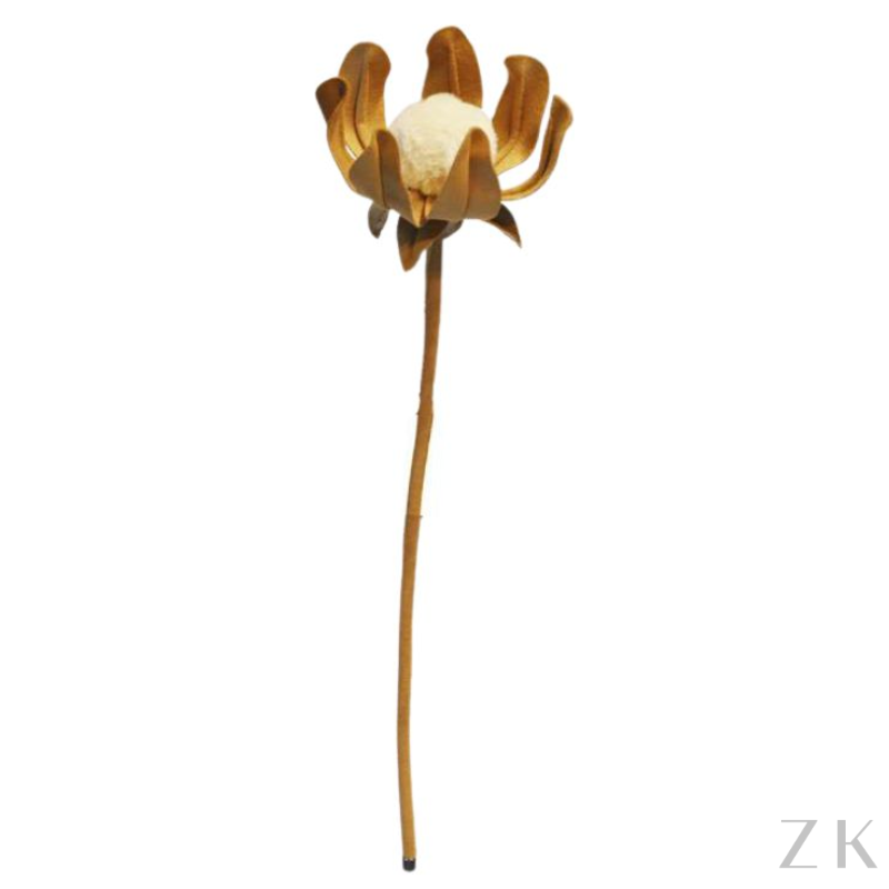 PROTEA