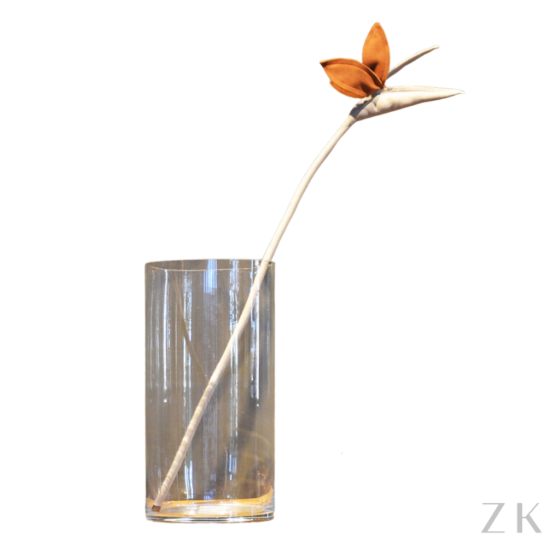 FLOR DE ESTRELÍCIA