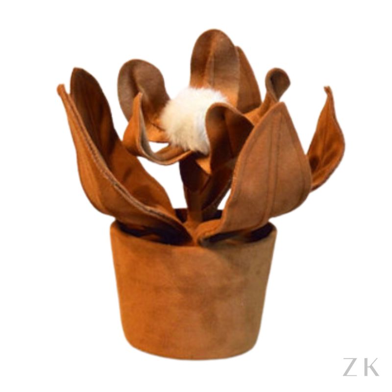 PROTEA DE VASO MINI
