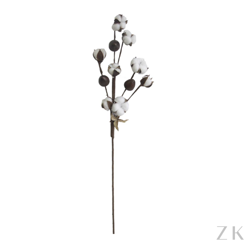 FLOR DE ALGODÃO COM SEMENTE 