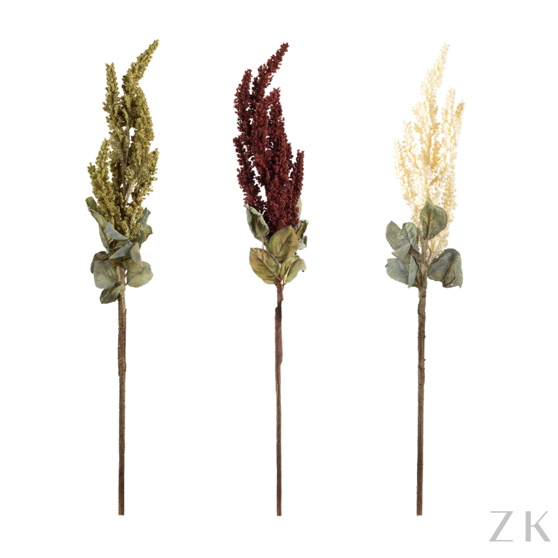 HASTE ASTILBE