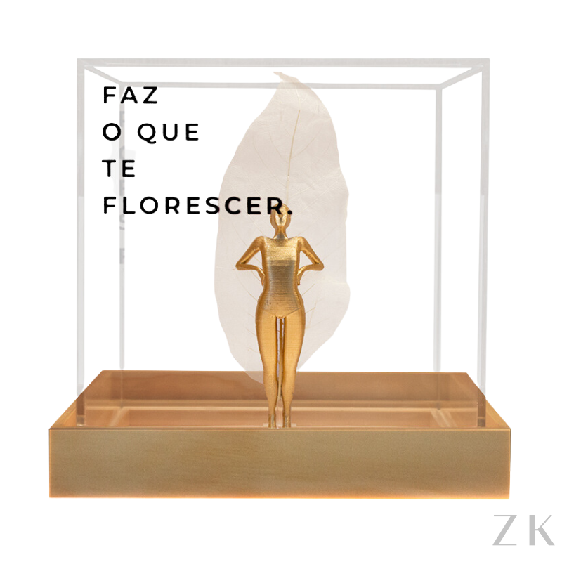 ESCULTURA FAZ O QUE TE FAZ FLORECER EM CAIXA ACRÍLICA | ARTISTA KALINA JUZWIAK 