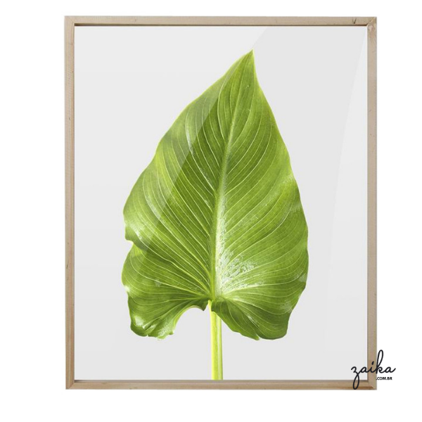 QUADRO FOLHA
