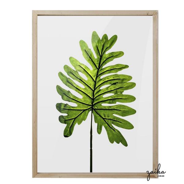 QUADRO