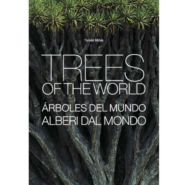 TREES OF THE WORLD