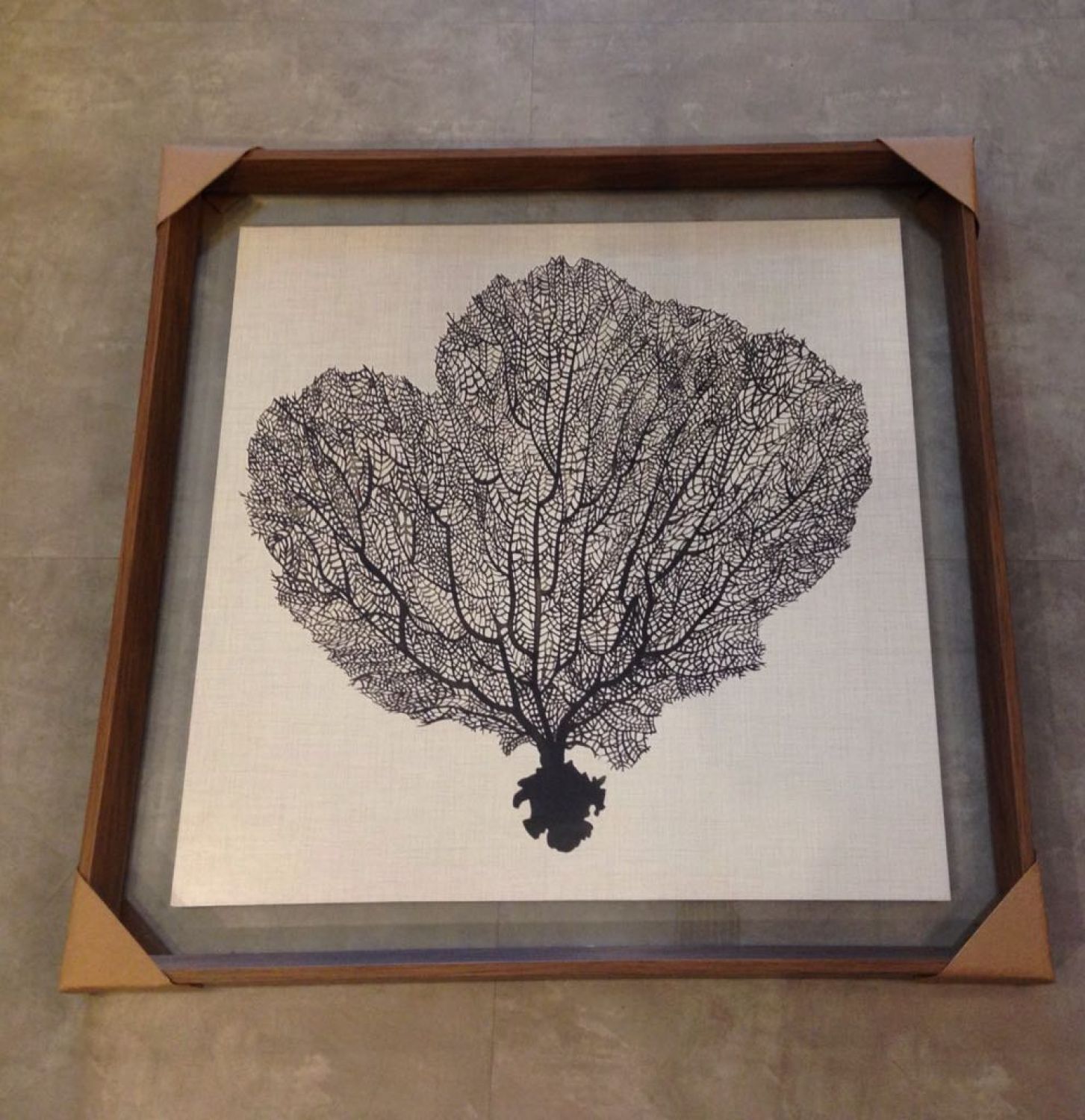QUADRO CORAIS MOLDURA MADEIRA 