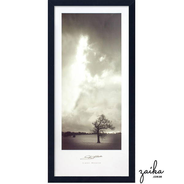QUADRO CÉU