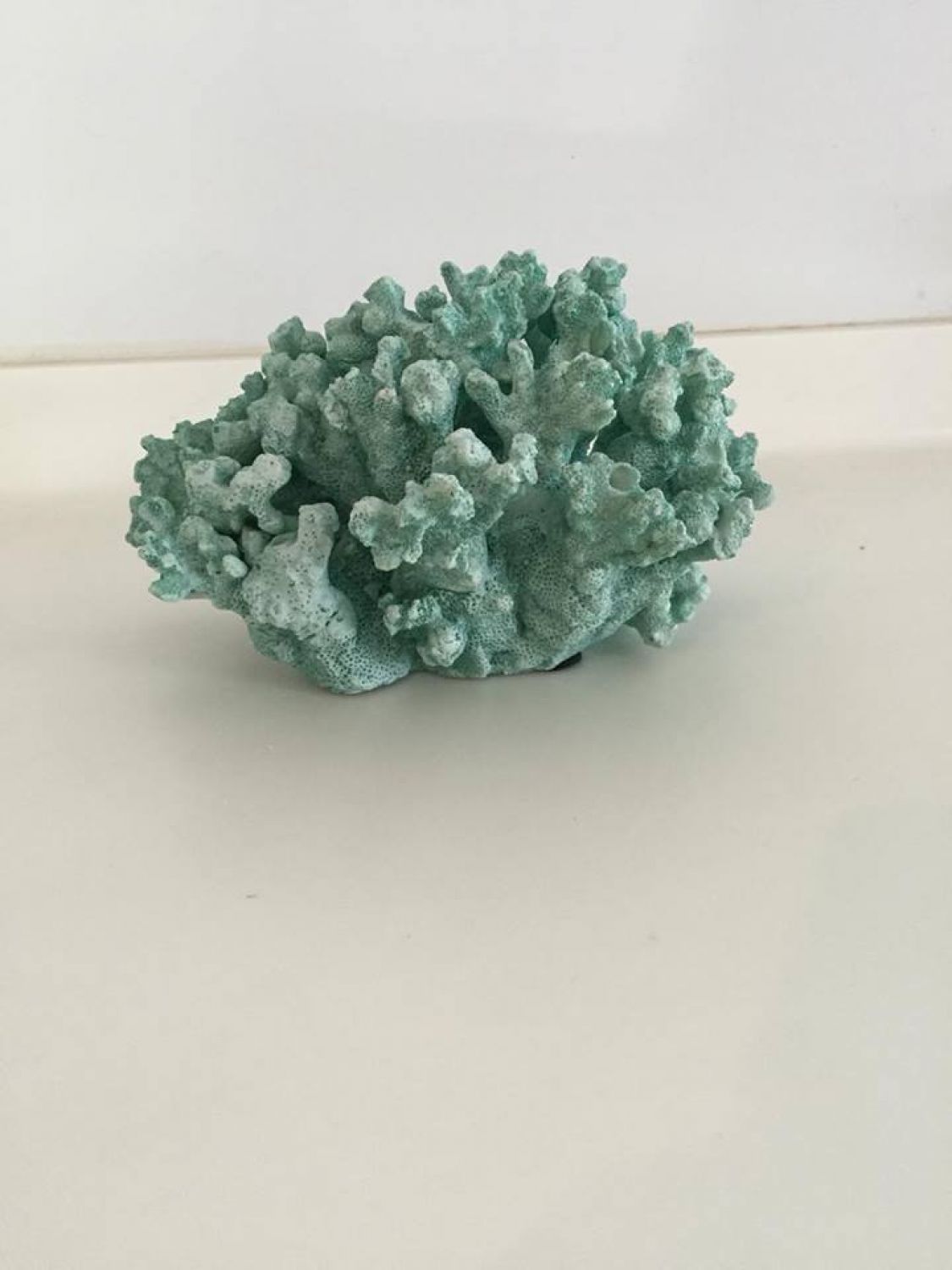 CORAL DECORATIVO