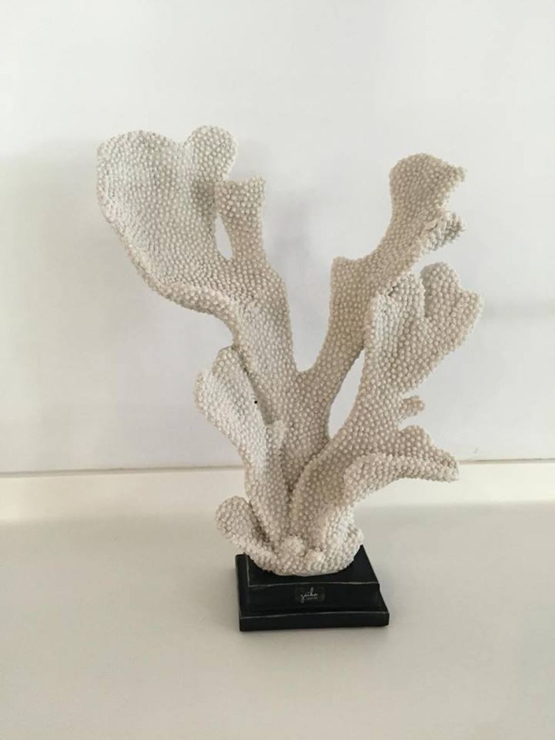 CORAL DECORATIVA