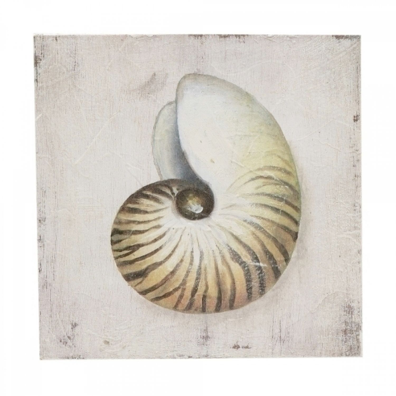 QUADRO CONCHA 
