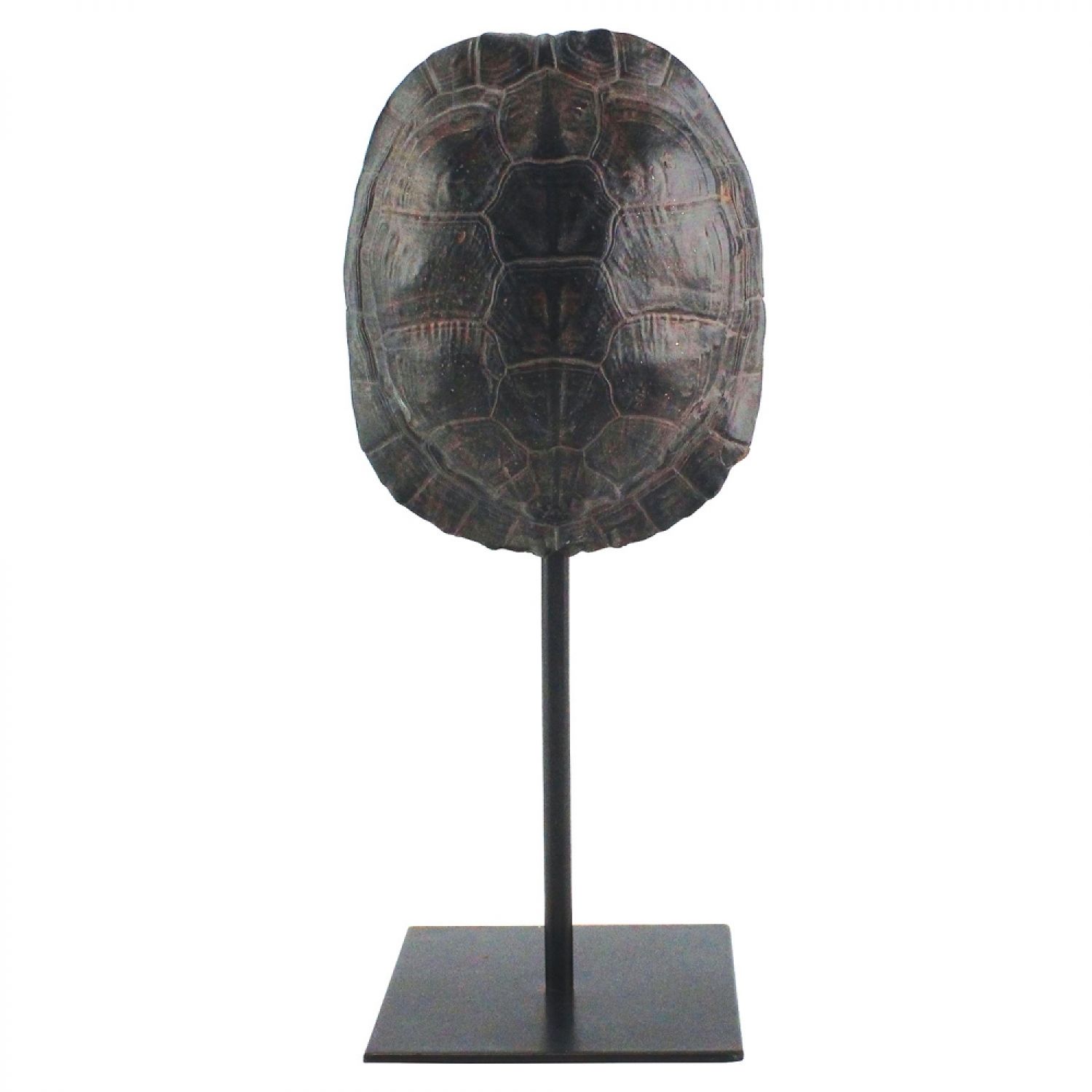 CASCO DE TARTARUGA DECORATIVO DE RESINA